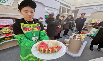 強化基礎(chǔ) 質(zhì)量鏈攜手全國首家農(nóng)業(yè)品牌創(chuàng)意體驗港 共建農(nóng)產(chǎn)品質(zhì)量鏈