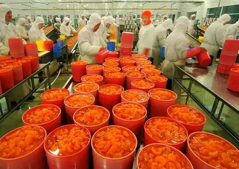 農(nóng)業(yè)的五座“金礦” 抓住初級農(nóng)產(chǎn)品機遇，實現(xiàn)創(chuàng)富增收